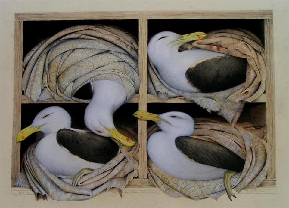Paul Martinson, A Space for each Creature Everyday, 2008