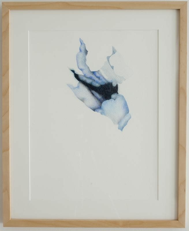 Wendy Kawabata, Tourist Eruption X, 2011