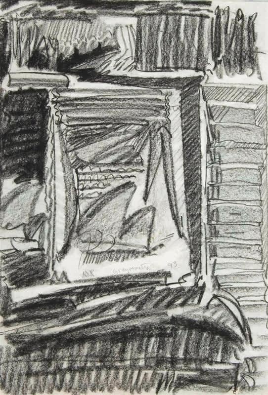 Alan Pearson, Greymouth, 1993