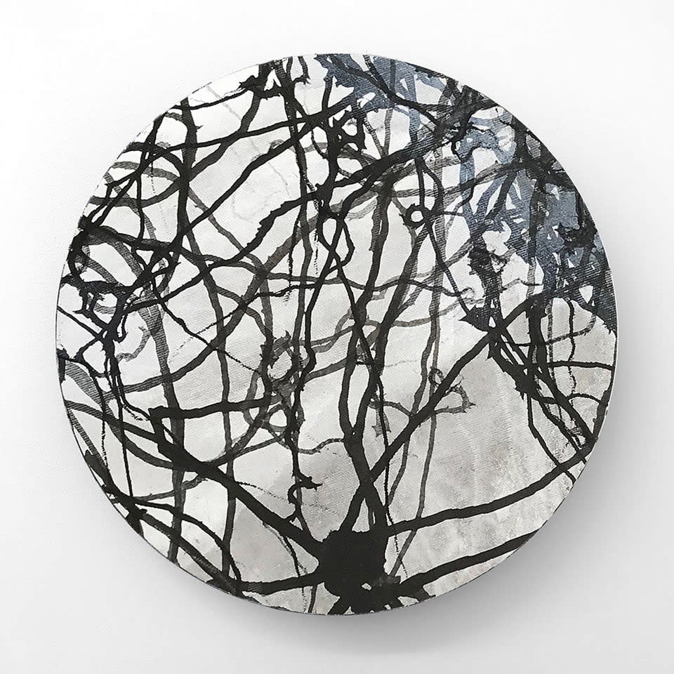 Anita Levering, Untitled 6651-c, 2018