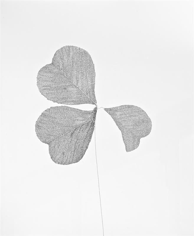 Clare Kim, 1/4, 2011