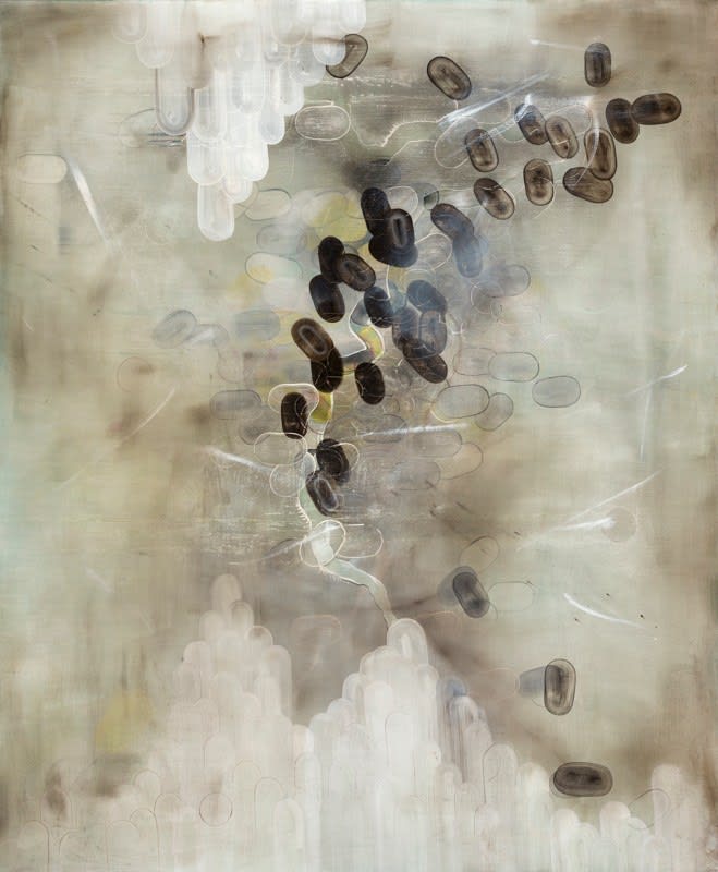 Cruz Jimenez, Rosebush, 2013