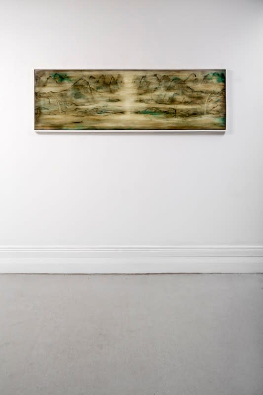 Simon Kaan, Ara, installation view, 2013