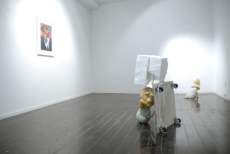 Matt Molloy, A Lower Animal, installation view, 2009