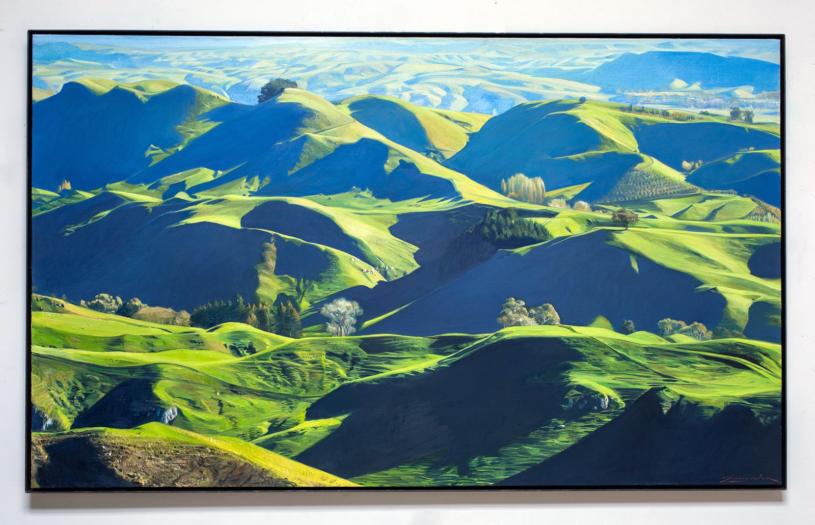 Freeman White, Te Mata o Rongokako, 2025