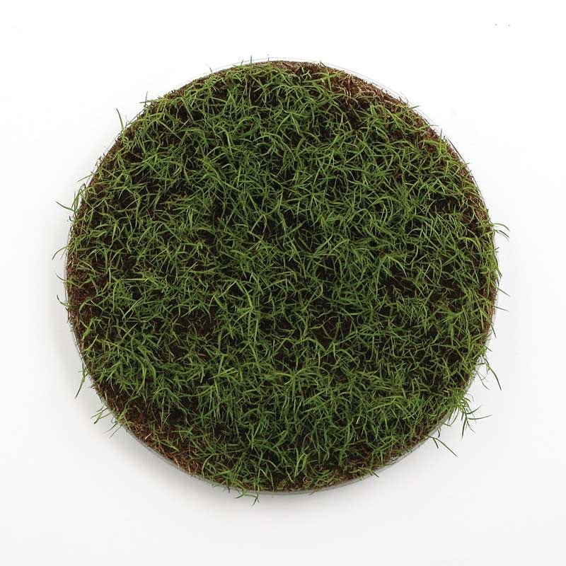 Gill Gatfield, Disc (Live Recording), 2007