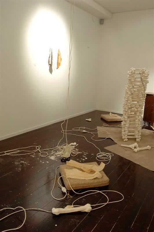 Matt Molloy, Rumps, 2008