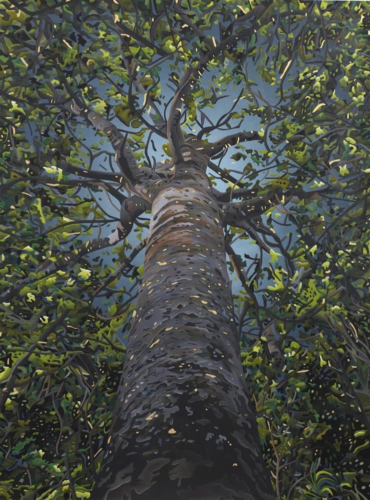 Paris Kirby, I Find Sanctuary in the Arms of Mother Kauri, and Paint in Reciprocity, 2017