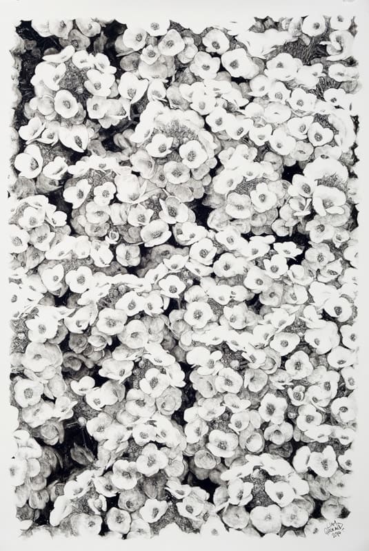 Liam Gerrard, Allysium, 2014
