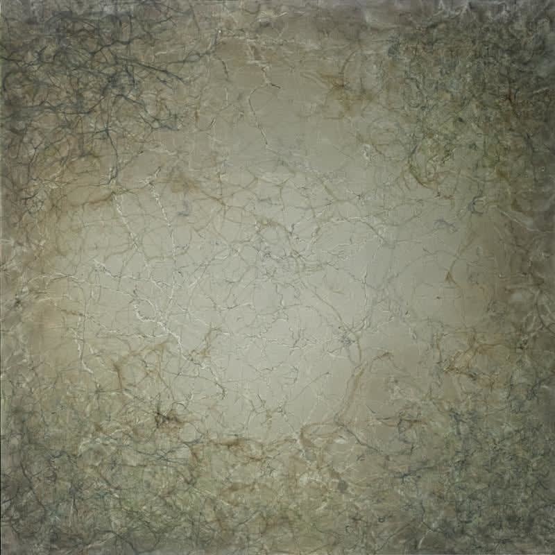 Anita Levering, 648 - Bioturbation, 2016