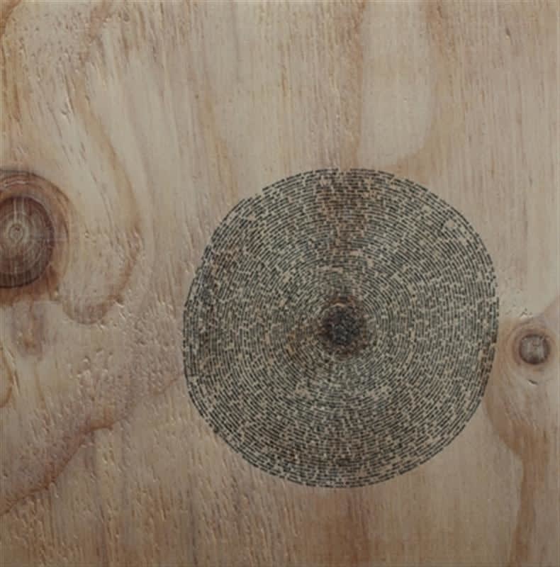 Clare Kim, Untitled (plywood II), 2010