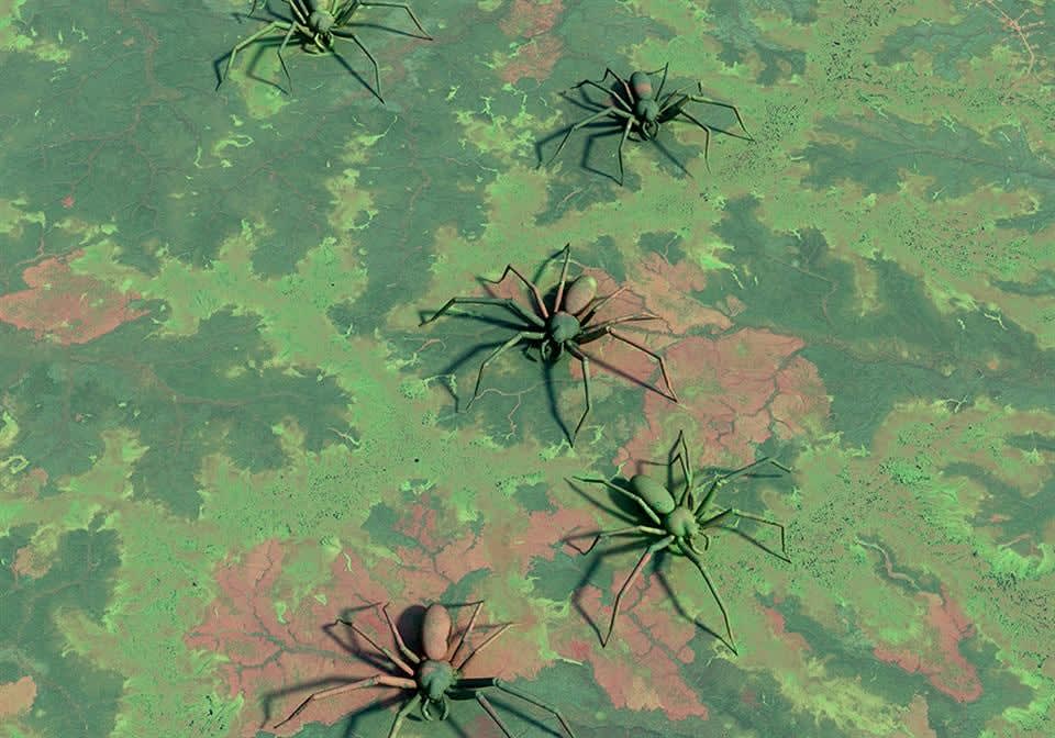 Brit Bunkley, Siberia Spiders, 2013