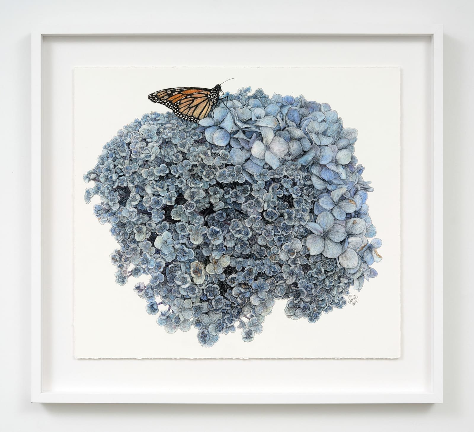 Liam Gerrard, Athenree Road, Waihi Beach, 2025
