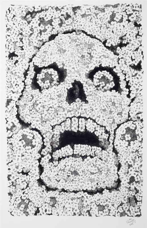 Liam Gerrard, Flower Skull, 2015