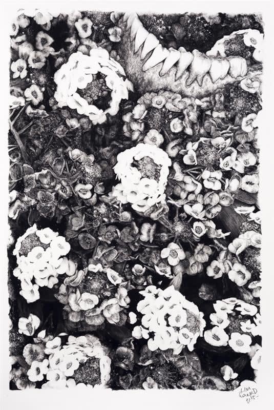 Liam Gerrard, Untitled (Jaw), 2015