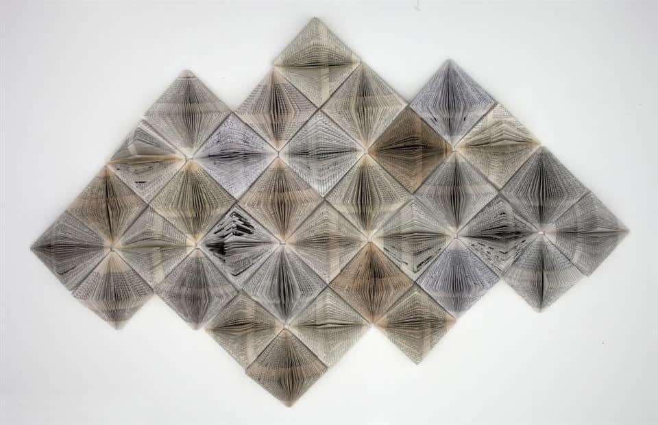 Wendy Kawabata, Withdrawn from Circulation III, 2012
