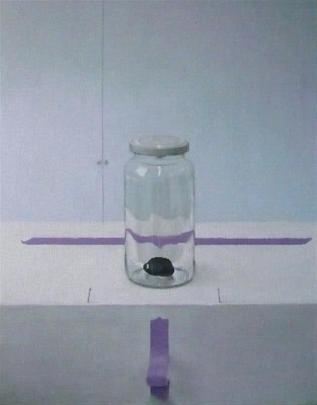 Damien Kurth, Dig, 2009