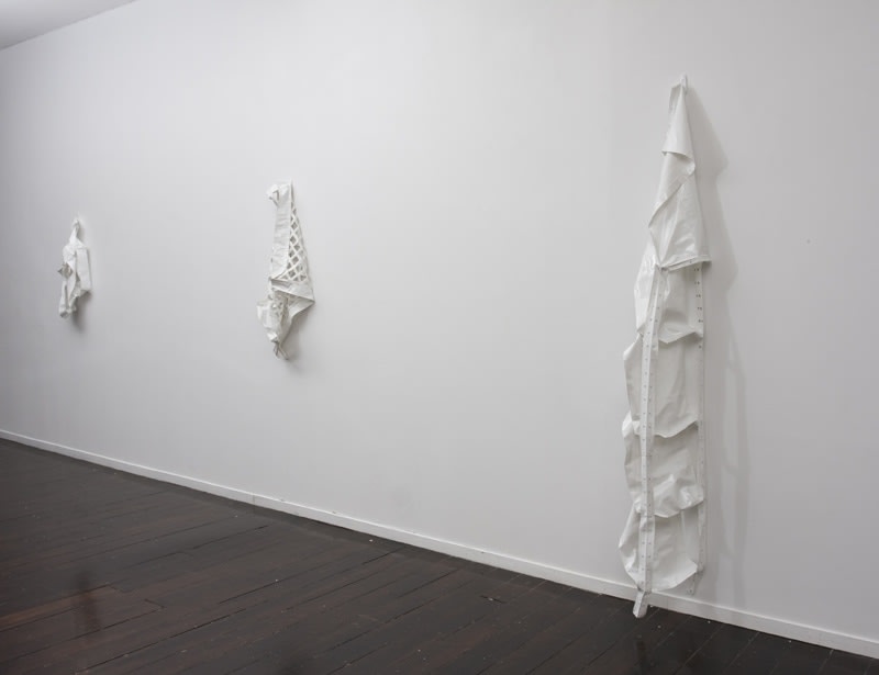 Charles Ninow, Young Blood Salon II Charles Ninow installation view, 2008