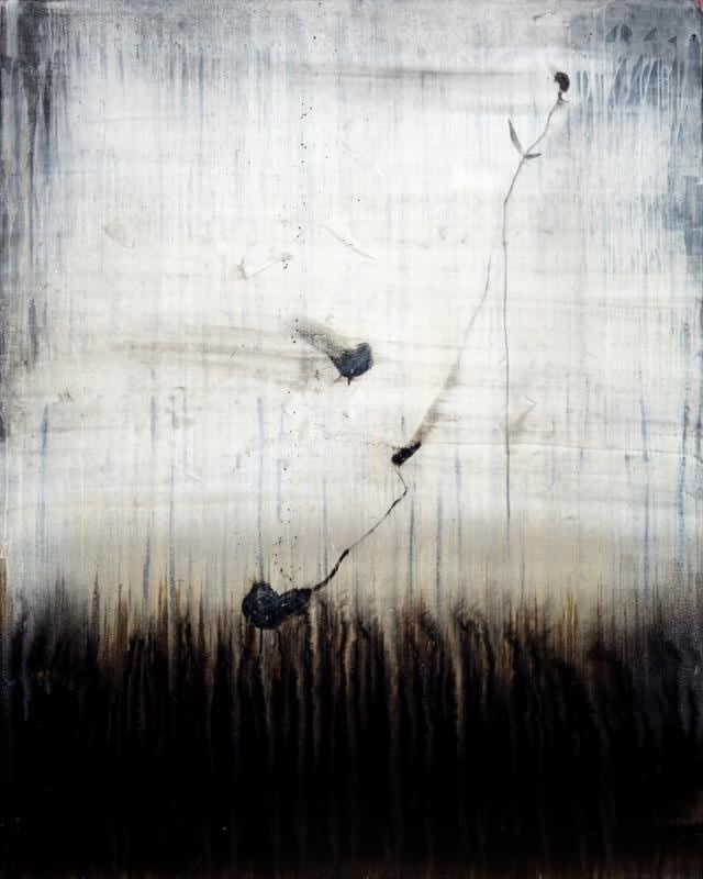 Cruz Jimenez, Tuolumne Meadow, 2016