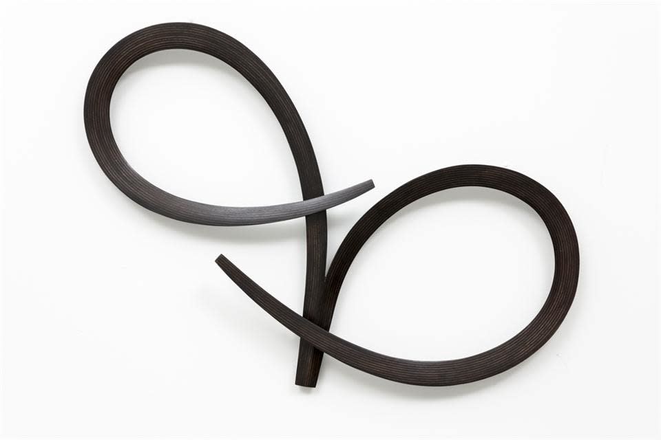 Ray Haydon, Dual, 2013