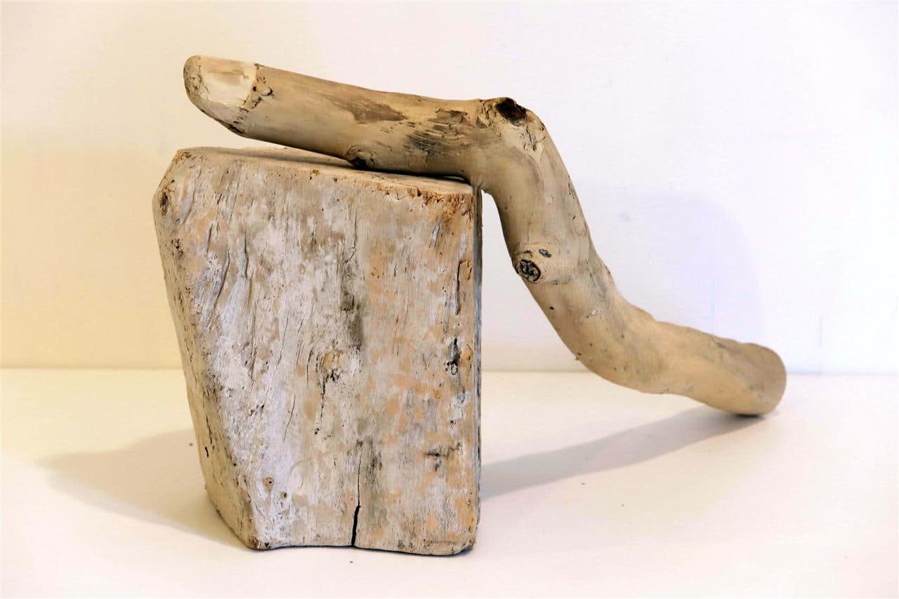 Josephine Cachemaille, Double Driftwood Drifter, 2018