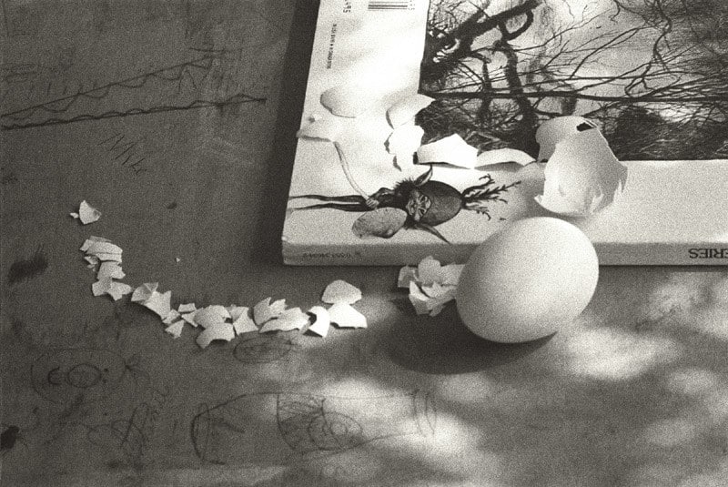 Cruz Jimenez, Pillow Stain II, 2008