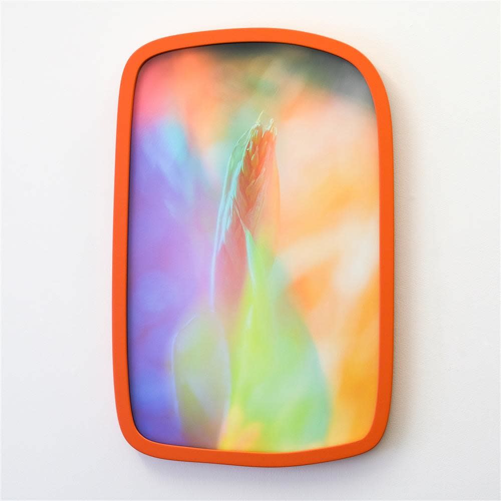 Petra Scheuber, Dreamland N°9: Venus, 2021