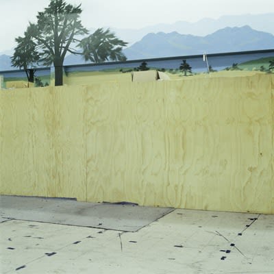 Sam Hartnett, Plywood, 2008