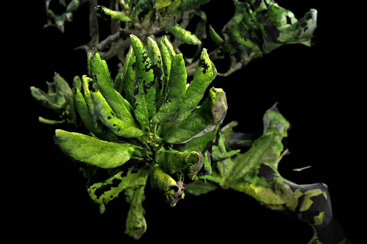 Anna Bensky, Selves (Martha) 2, 2022