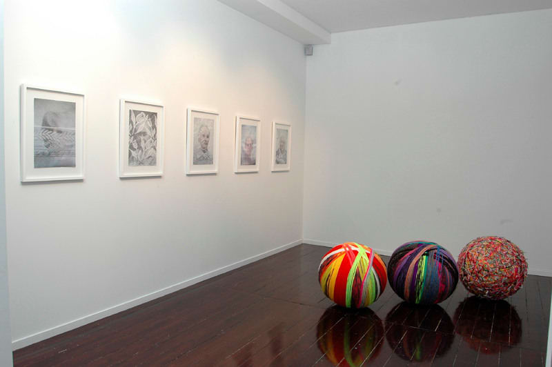 Carole West, Reliquary and Dementia (Installation view), 2007