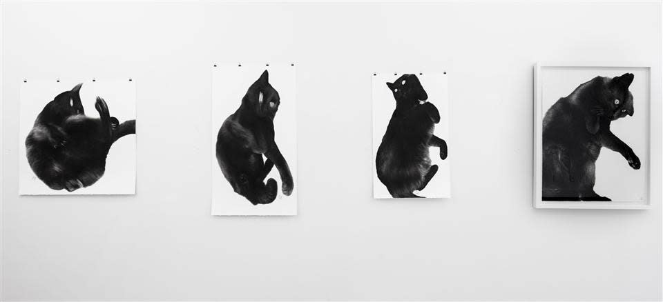 Liam Gerrard, The Leroy Suite, 2016