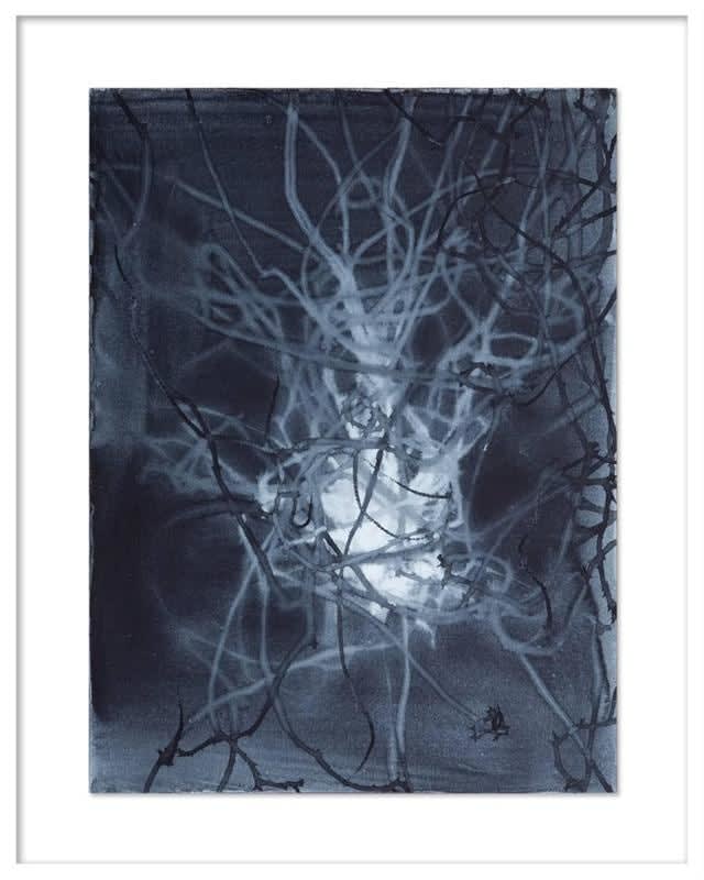 Anita Levering, Trail 001, 2015