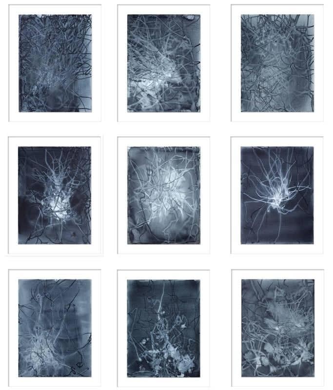 Anita Levering, Trail 001 - 009, 2015