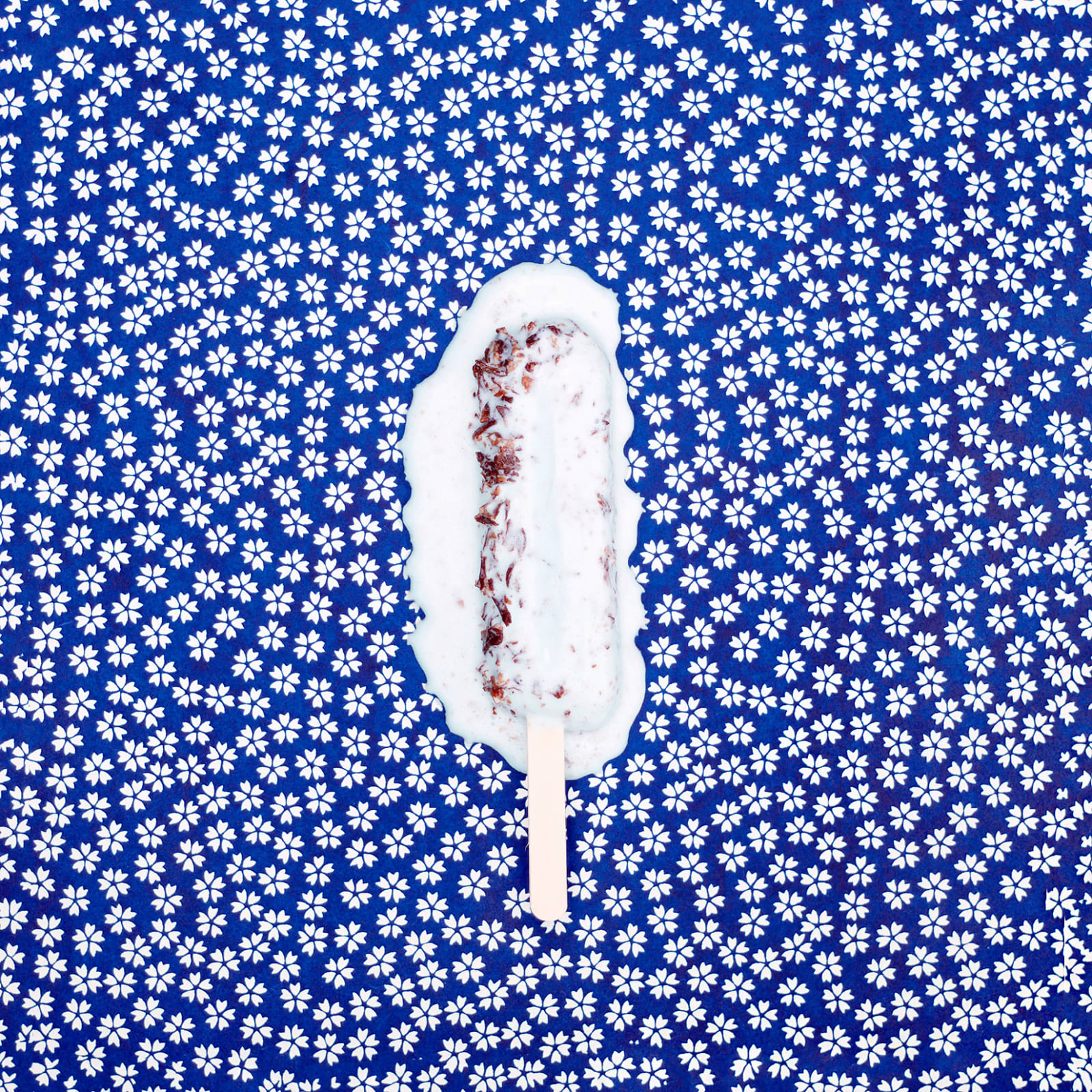 Simone Rosenbauer, ICE #71, 2024