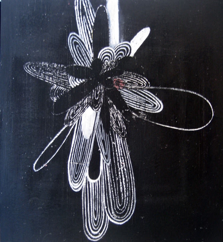 Josephine Cachemaille, Flare, 2009