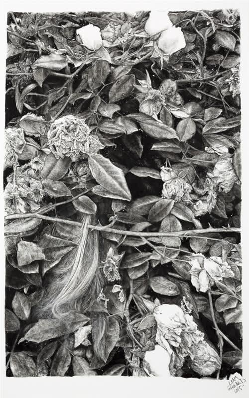 Liam Gerrard, Untitled (Hair), 2015