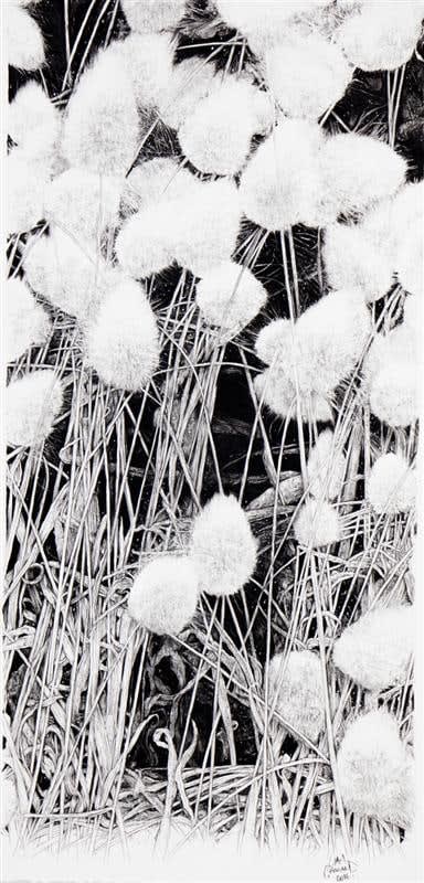 Liam Gerrard, Untitled, 2016