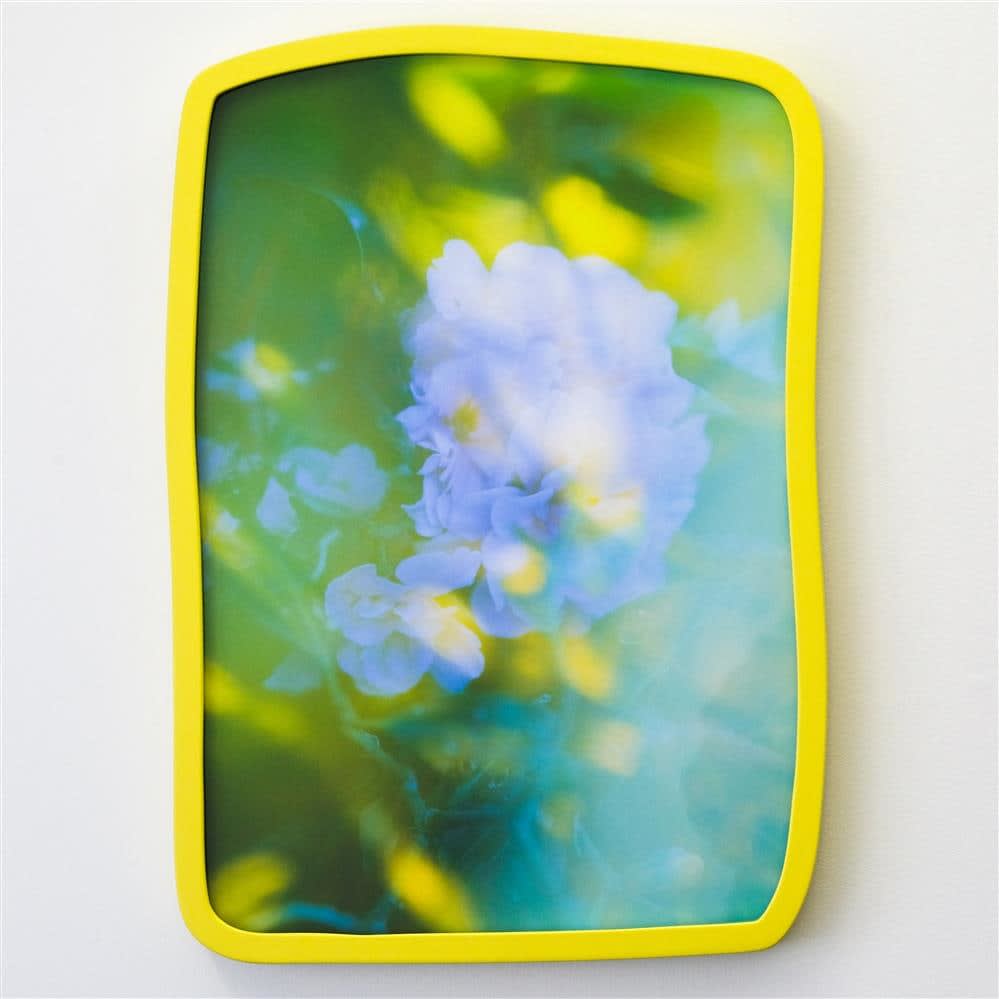 Petra Scheuber, Dreamland N°5: August, 2021