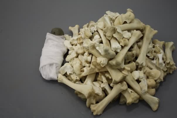 Clare Kim, Untitled (bones), 2010
