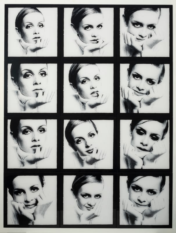 Pj Paterson, Twiggy Considered as a Gestalt System, 2013