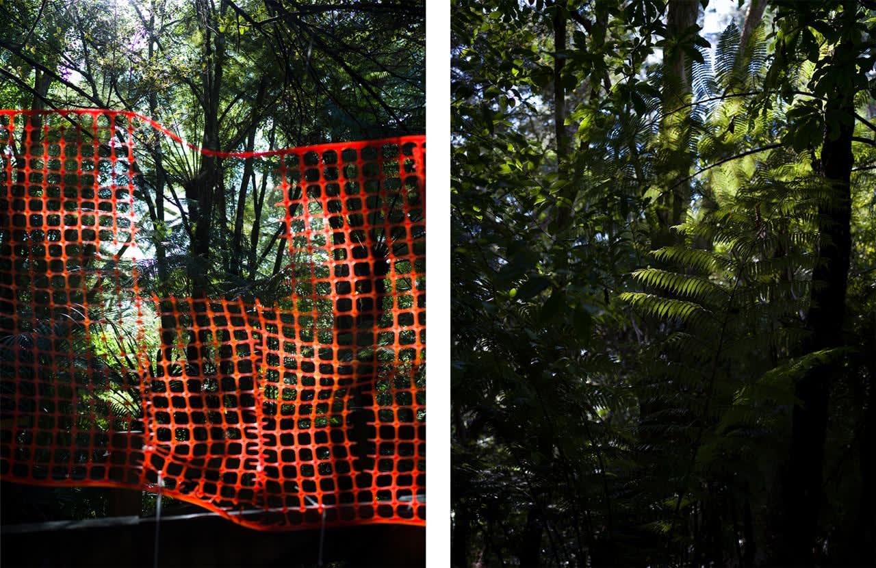 Chervelle Athena, and with all my being, I blessed this land, Goldie Bush, Waitakere, May 2018 (dyptich), 2018