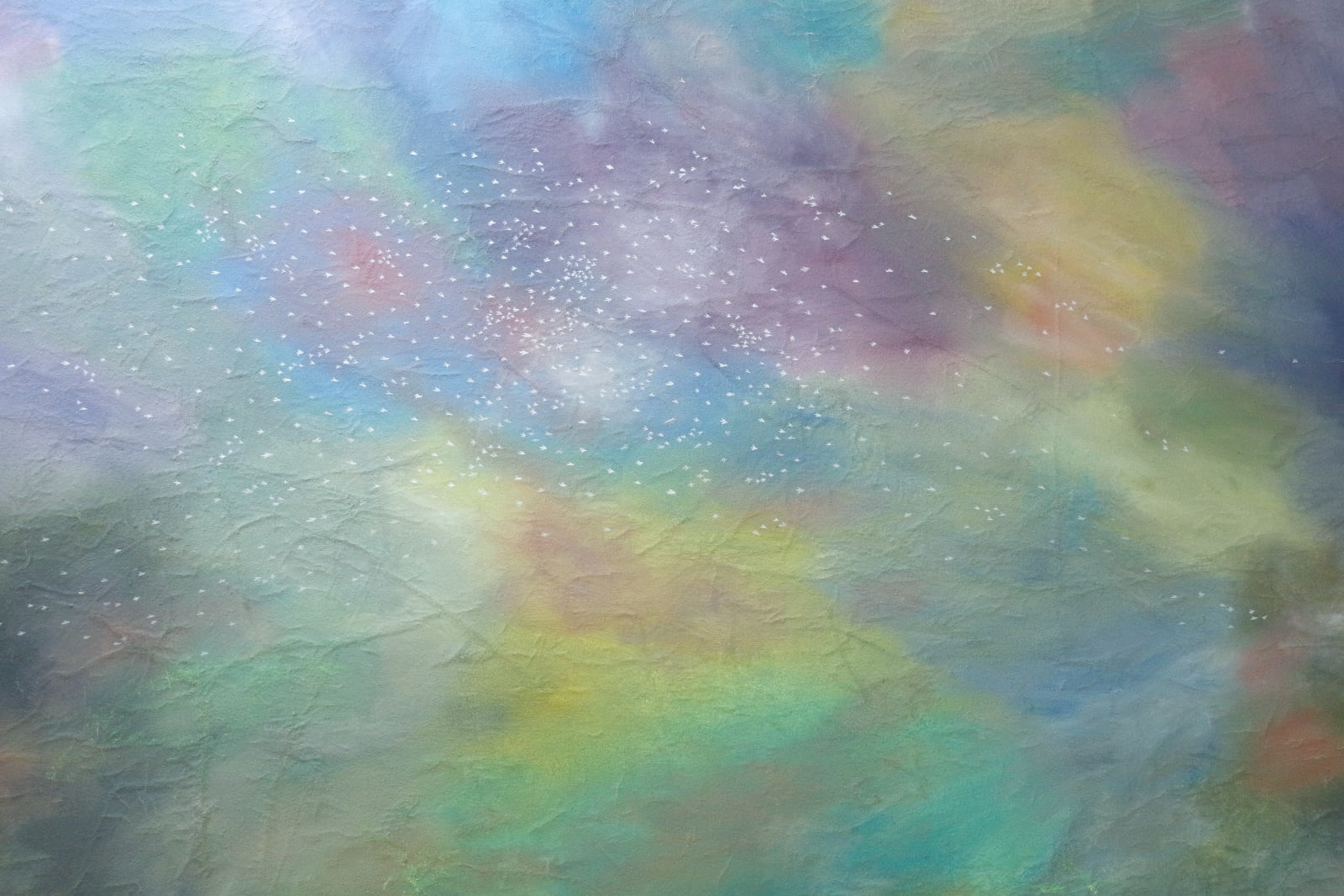 Li Si Rong, Murmuration, 2025