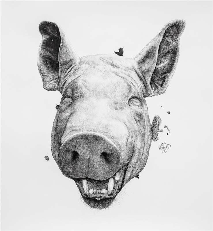 Liam Gerrard, Pig #2, 2012