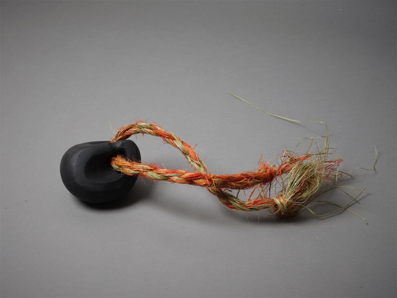 Wi Taepa, Punga Iti, 2021