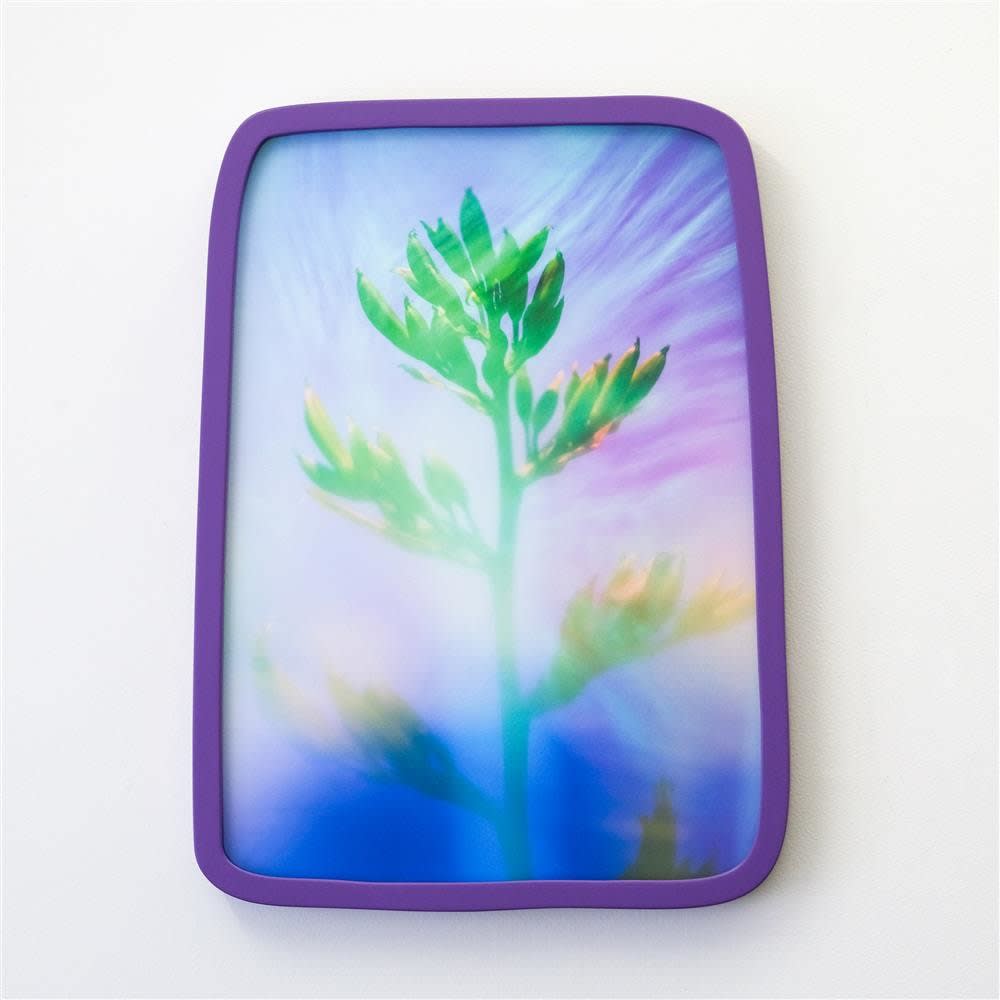 Petra Scheuber, Dreamland N°12: Breeze, 2021
