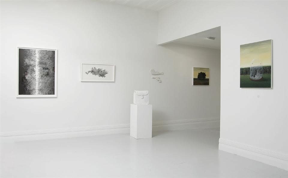Yoshiko Nakahara, 'Fine' installation view, 2007