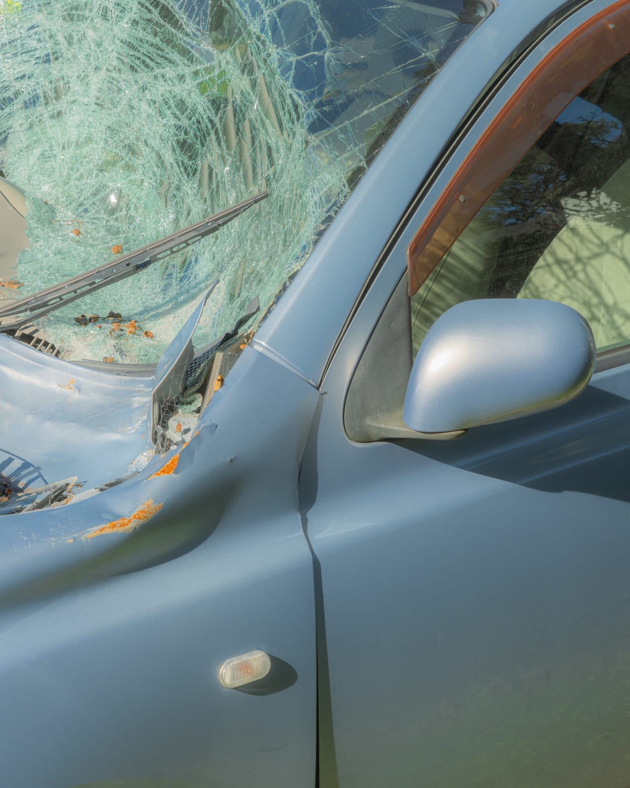 Scott Cai, Valley Rd, 2024