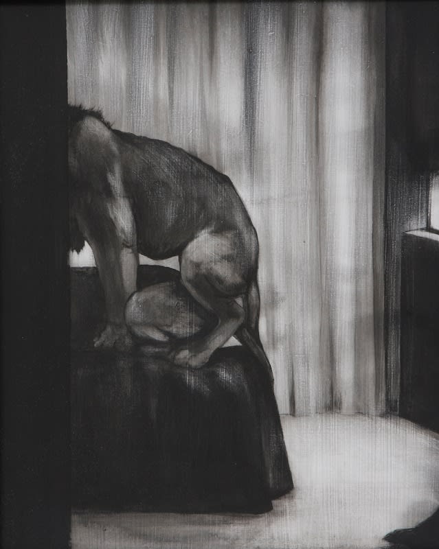 Josephine Cachemaille, Lions, 2008