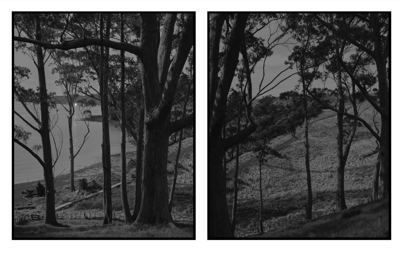 Kate Van Der Drift, Waitawa Bay Looking South East (diptych), 2025