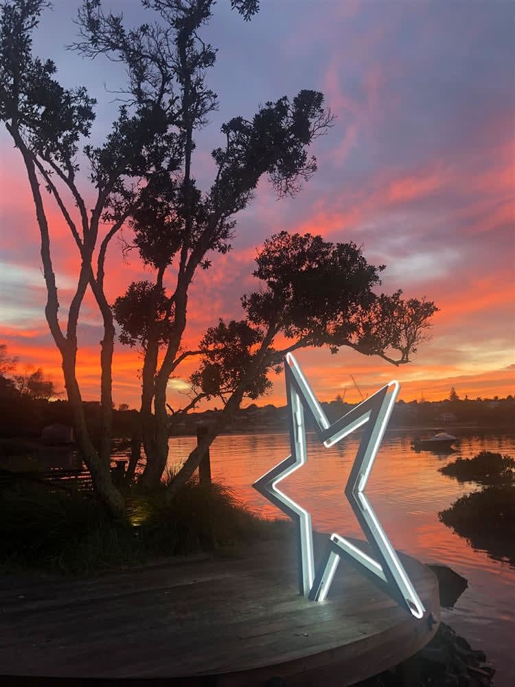 Paul Hartigan Neon Works, Silver Star, 2016